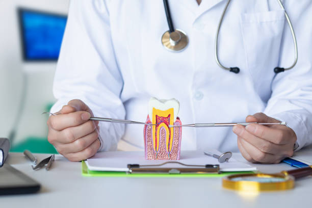 Best Emergency Dentist for Knocked-Out Tooth in Rome, GA